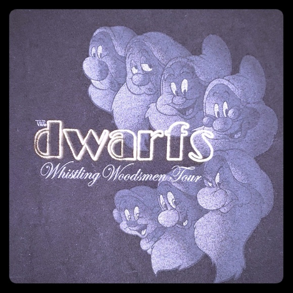 Disney's seven dwarfs tshirt - Picture 1 of 5